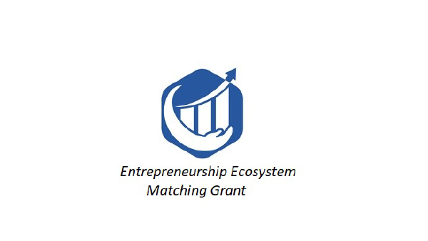 Entrepreneurship Ecosystem Matching (EE-MG) Cycle 1 - 2020