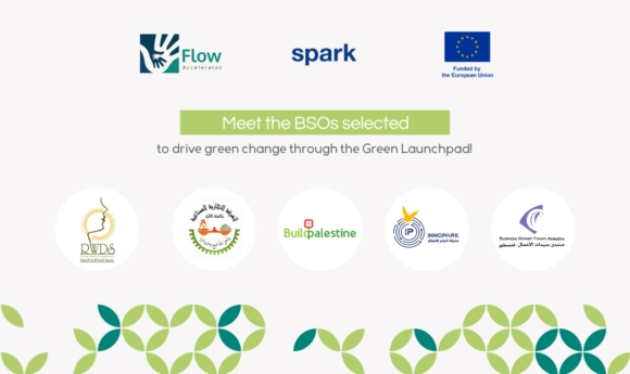 Kicking Off the Green Launchpad: Building the Foundation for Green Business Support – Meet the BSOs 