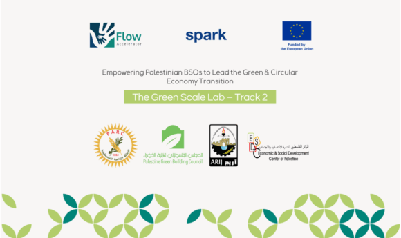 Launching the Green Scale Lab: Advancing BSOs Leadership in the Green Economy – Meet the new set of BSOs